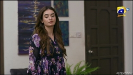 Shiddat - Episode 48 - 22nd July 2024